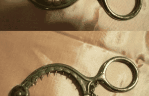 Unlocking the Potential of Strange Kitchen Tools: A Comprehensive Guide