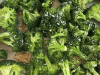Perfectly Roasted Broccoli