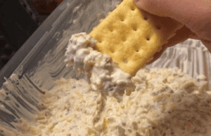THE NO NAME DIP: A Simple, Delicious Recipe