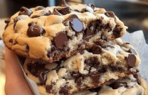 πππ―ππ’π§ πππ€ππ«π² ππ‘π¨ππ¨π₯πππ ππ‘π’π© ππ¨π¨π€π’ππ¬