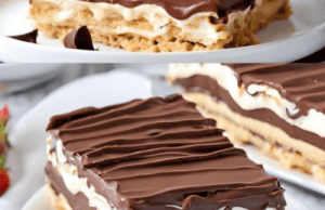 NO-BAKE CHOCOLATE ÉCLAIR CAKE