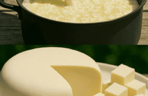Homemade Cheese with 3 Ingredients