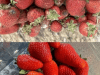 How to Keep Strawberries Fresh Longer