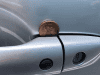 Finding a Penny in Your Car Door Handle? Don’t Ignore It!