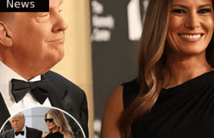 Trump Fires Back At Celebrity Boycott During Surprise ‘Les Misérables’ Outing – A Night of Drama On and Offstage