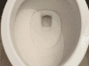 How to Remove Hard Water Stains From a Toilet Bowl – No Harsh Chemicals Needed