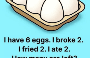 The “6 Eggs” Riddle That Tricks Almost Everyone – Can You Solve It?