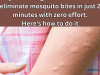 Eliminate Mosquito Bites in Just 2 Minutes with Zero Effort