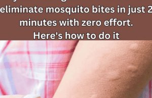 Eliminate Mosquito Bites in Just 2 Minutes with Zero Effort