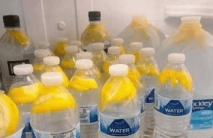 How Ginger Water Supports Weight Loss & Wellness – Natural Detox, Digestive Boost & More