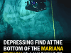 A Shocking Discovery in the Mariana Trench