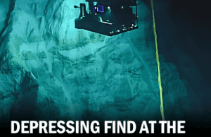 A Shocking Discovery in the Mariana Trench