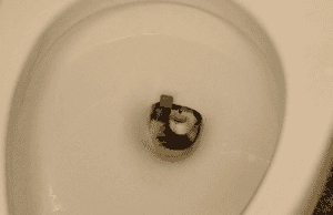Think That Toilet Camera Is Watching You? It’s Not What You Think — And It’s Genius