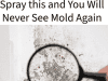 4 Natural Ways To Get Rid of Mold — Without Calling a Professional