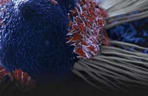 8 of the Best Anti-Cancer Foods โ And Why You Should Start Eating Them Now