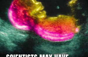 Scientists May Have Discovered a Surprising Link Between Gut Health and Autism