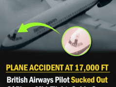 The Unbelievable Survival of Captain Tim Lancaster: How One Pilot Survived Being Half-Ejected from a Plane