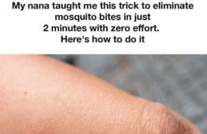 The Hot Spoon Trick: A Simple, Effective Way to Stop Mosquito Bites From Itching