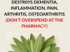 Natural Ways to Fight Dementia, Inflammation, Arthritis, and Chronic Pain — Without Breaking the Bank