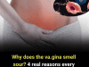 Why Does the Vagina Smell Sour? 4 Real Reasons Every Woman Should Know