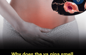 Why Does the Vagina Smell Sour? 4 Real Reasons Every Woman Should Know