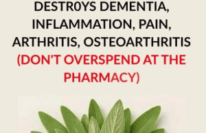 Natural Ways to Fight Dementia, Inflammation, Arthritis, and Chronic Pain — Without Breaking the Bank