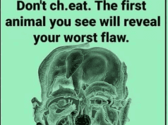 The First Animal You See Reveals a Hidden Truth About Your Personality