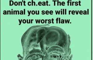 The First Animal You See Reveals a Hidden Truth About Your Personality