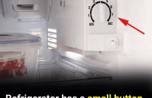 We’ve All Been Wasting Electricity — Here’s How to Stop (Starting With Your Refrigerator)