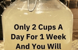 The Ultimate Fat-Burning Drink – A Natural Way to Support Weight Loss